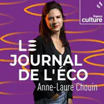 Interview dans le Journal de l'éco de France Culture
