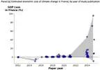 When Climate Impact Costs Do Not Add up: Do Local Policy Assessments Align with Global Macroeconomic Insights? A Case Study of France