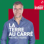 Invité de la Terre au carré de France Inter: Clim et climat : le serpent qui se mord la queue